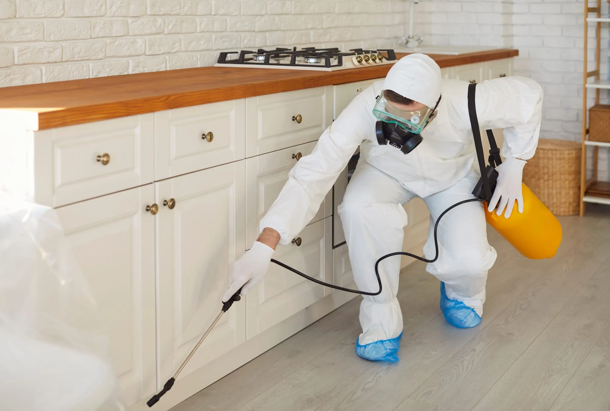 Pest Control Pro at Work