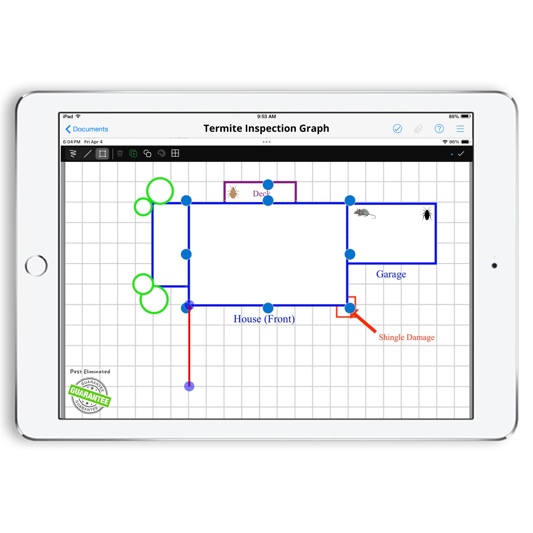 naturalForms rendering a professional termite inspection graph
